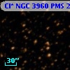 Cl* NGC 3960    PMS   24358
