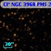 Cl* NGC 3960    PMS   21193