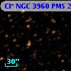 Cl* NGC 3960    PMS   20989