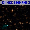 Cl* NGC 3960    PMS   23317