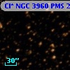 Cl* NGC 3960    PMS   24592
