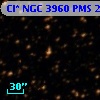 Cl* NGC 3960    PMS   24593