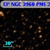 Cl* NGC 3960    PMS   25354