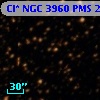 Cl* NGC 3960    PMS   21895