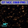 Cl* NGC 3960    PMS   23533