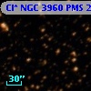Cl* NGC 3960    PMS   24299