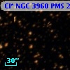 Cl* NGC 3960    PMS   20364