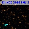 Cl* NGC 3960    PMS   21100
