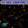 Cl* NGC 3960    PMS   21259