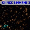 Cl* NGC 3960    PMS   22197