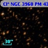 Cl* NGC 3960     PM      43