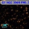 Cl* NGC 3960    PMS   24222