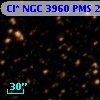 Cl* NGC 3960    PMS   22919