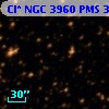 Cl* NGC 3960    PMS  300636