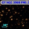 Cl* NGC 3960    PMS   24518