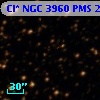 Cl* NGC 3960    PMS   25023