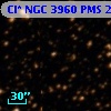 Cl* NGC 3960    PMS   23904