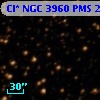 Cl* NGC 3960    PMS   25668