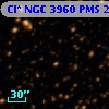 Cl* NGC 3960    PMS   23137