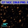 Cl* NGC 3960    PMS  300647