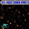 Cl* NGC 3960    PMS   24371