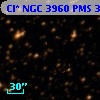 Cl* NGC 3960    PMS  300627