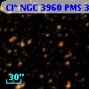 Cl* NGC 3960    PMS  300988