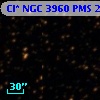 Cl* NGC 3960    PMS   20798