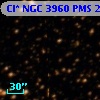Cl* NGC 3960    PMS   20257