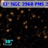 Cl* NGC 3960    PMS   23141