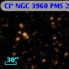 Cl* NGC 3960    PMS   22515