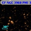 Cl* NGC 3960    PMS  301695