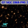 Cl* NGC 3960    PMS   20556