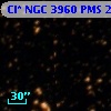 Cl* NGC 3960    PMS   21802