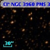 Cl* NGC 3960    PMS  300128