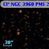 Cl* NGC 3960    PMS   23997