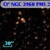 Cl* NGC 3960    PMS   26294