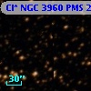 Cl* NGC 3960    PMS   25972