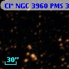 Cl* NGC 3960    PMS  301874