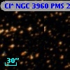 Cl* NGC 3960    PMS   21525