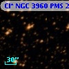 Cl* NGC 3960    PMS   21950