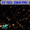 Cl* NGC 3960    PMS  301352