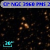 Cl* NGC 3960    PMS   23886