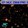 Cl* NGC 3960    PMS  300364
