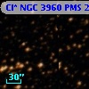 Cl* NGC 3960    PMS   21207