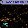 Cl* NGC 3960    PMS   20797