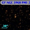 Cl* NGC 3960    PMS   25013