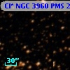 Cl* NGC 3960    PMS   21209