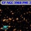 Cl* NGC 3960    PMS   22585