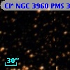 Cl* NGC 3960    PMS  301407